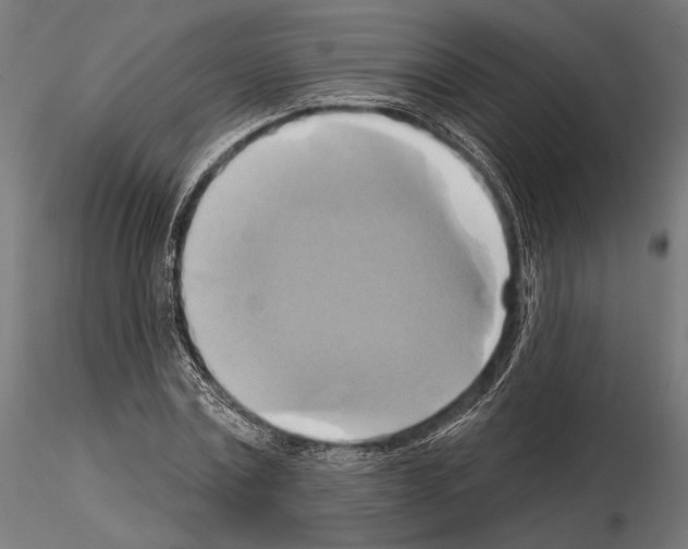 X0000115170779200912091022