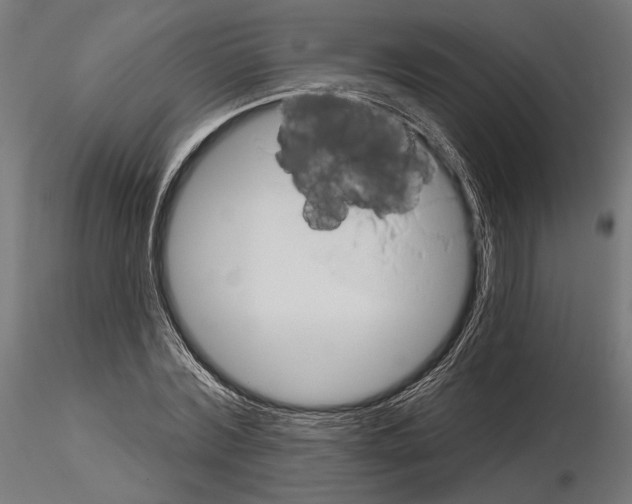 X0000115170780200912091022