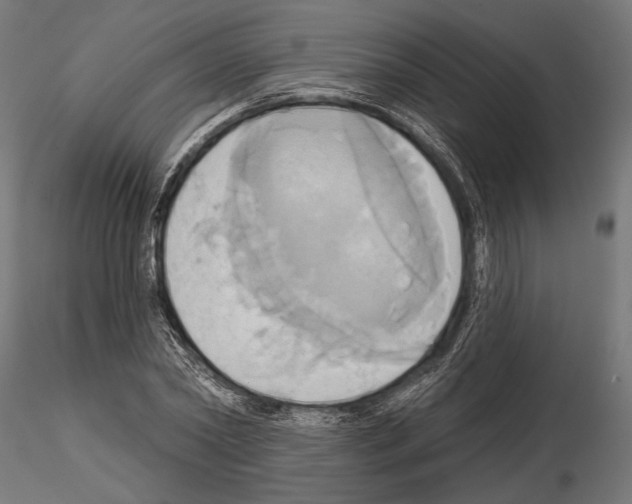 X0000115170782200912091022