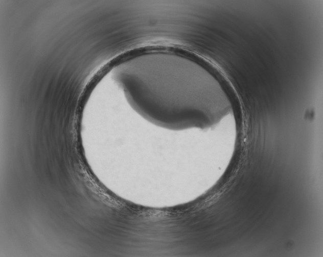 X0000115170783200912091022