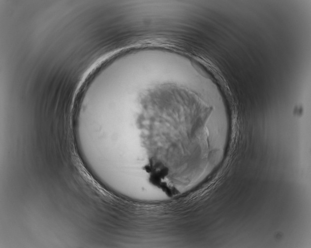 X0000115170784200912091022