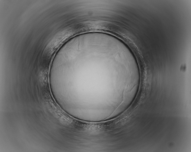 X0000115170785200912091022