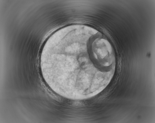 X0000115170787200912091022