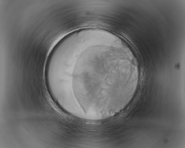 X0000115170788200912091022