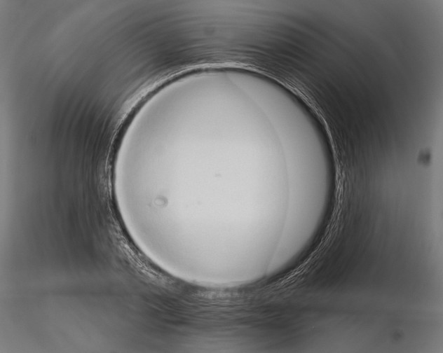 X0000115170789200912091022