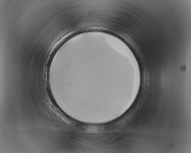 X0000115170790200912091022