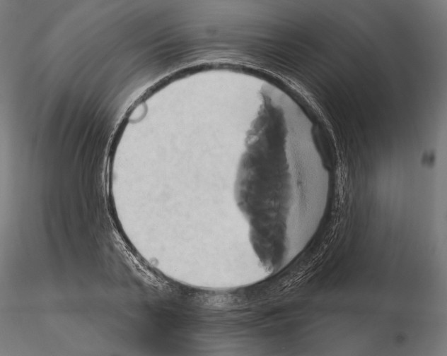 X0000115170791200912091022