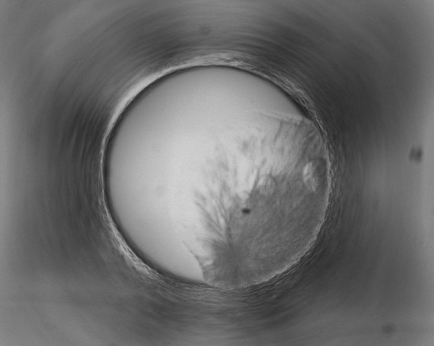 X0000115170792200912091022