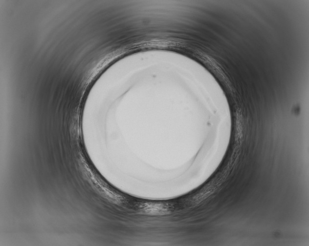 X0000115170794200912091022