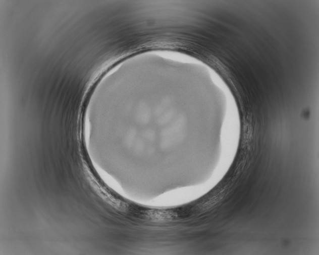 X0000115170795200912091022