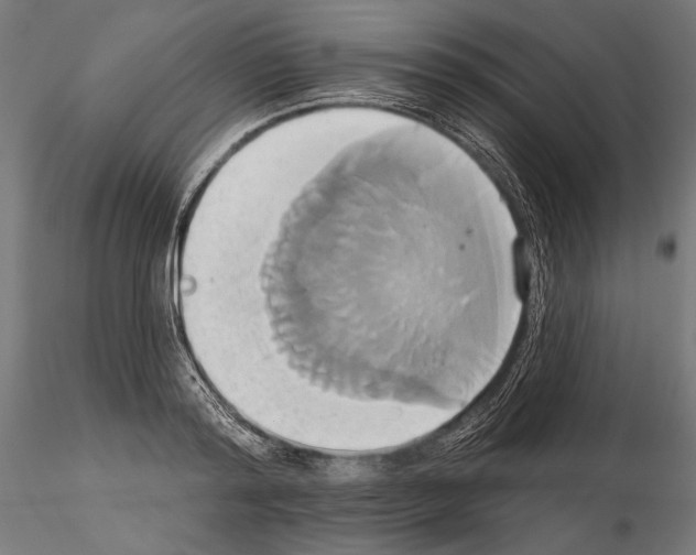 X0000115170796200912091022