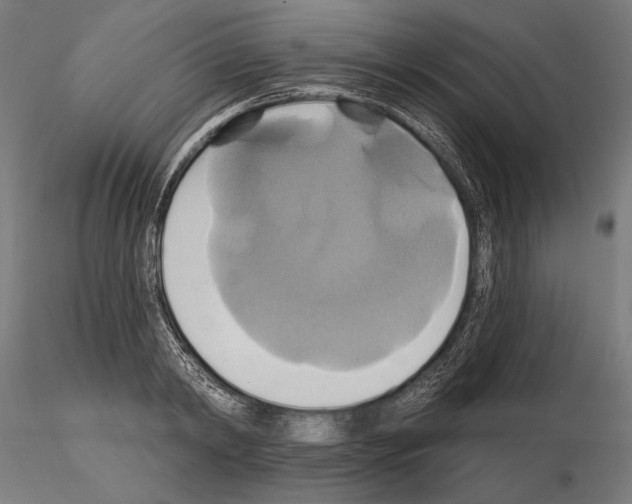 X0000115170798200912091022