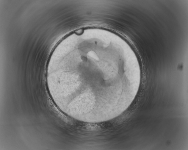 X0000115170799200912091022