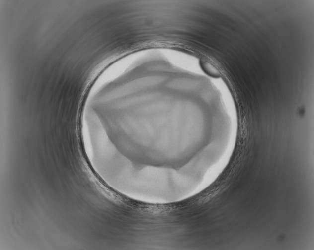 X0000115170803200912091022