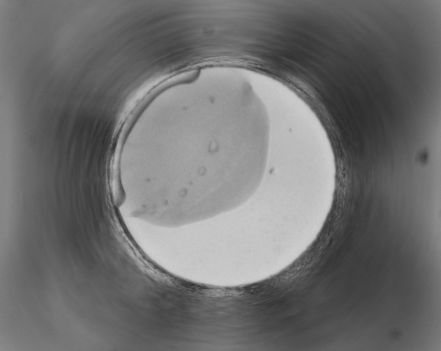 X0000115170804200912091022