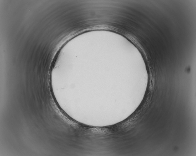 X0000115170805200912091022