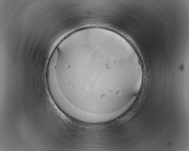 X0000115170807200912091022