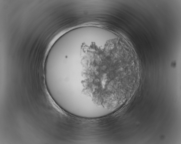 X0000115170808200912091022