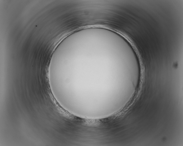 X0000115170809200912091022