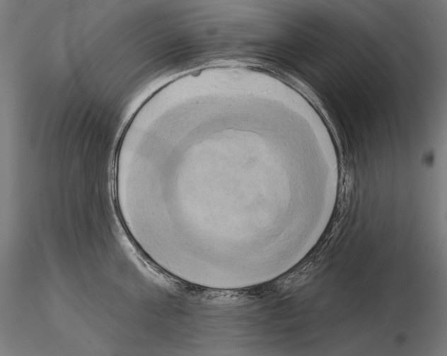 X0000115170811200912091022