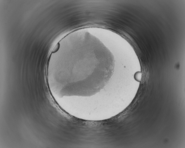 X0000115170812200912091022