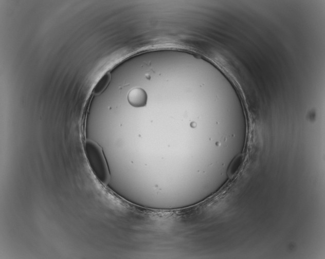 X0000115170813200912091022