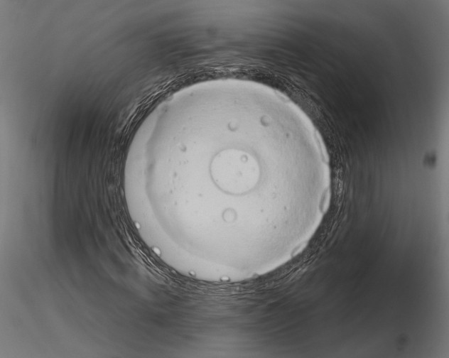 X0000115170820200912091021