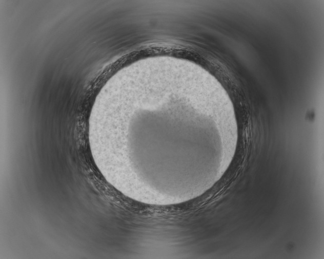 X0000115170822200912091021