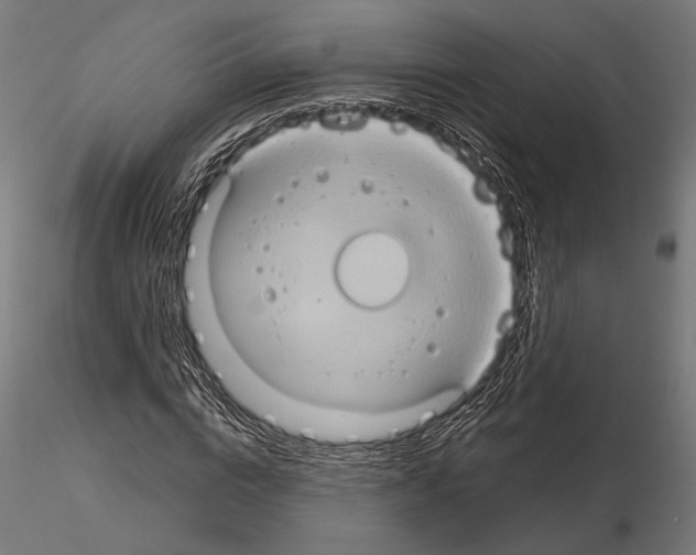 X0000115170824200912091021