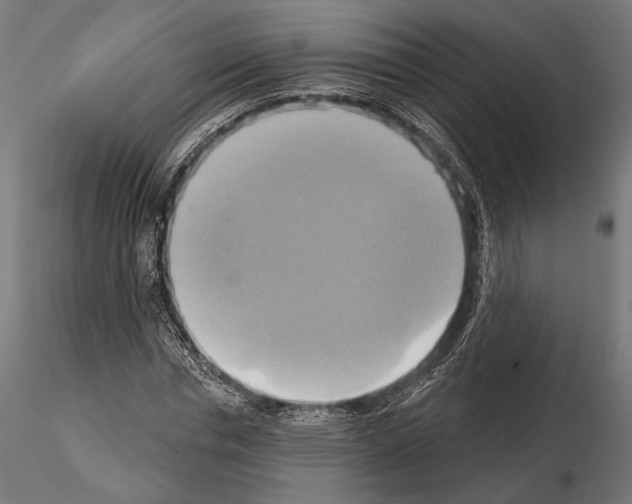 X0000115170826200912091021