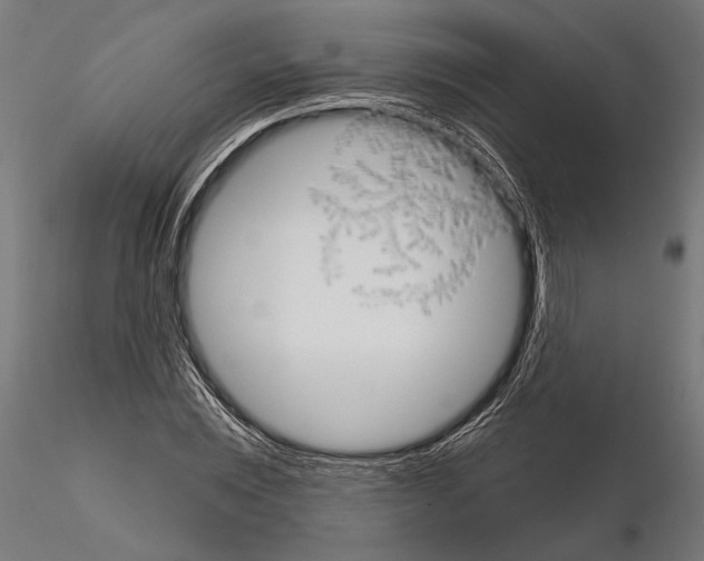 X0000115170828200912091021