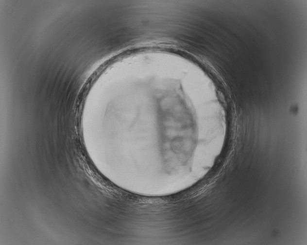 X0000115170830200912091021