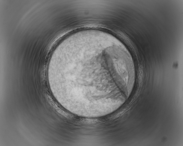 X0000115170831200912091021