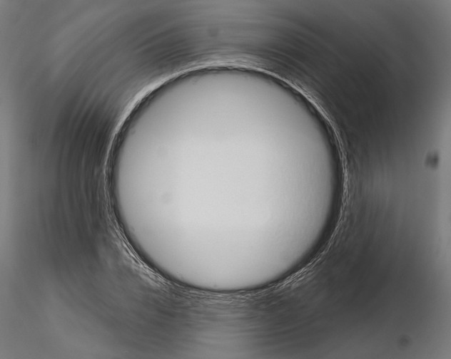 X0000115170832200912091021