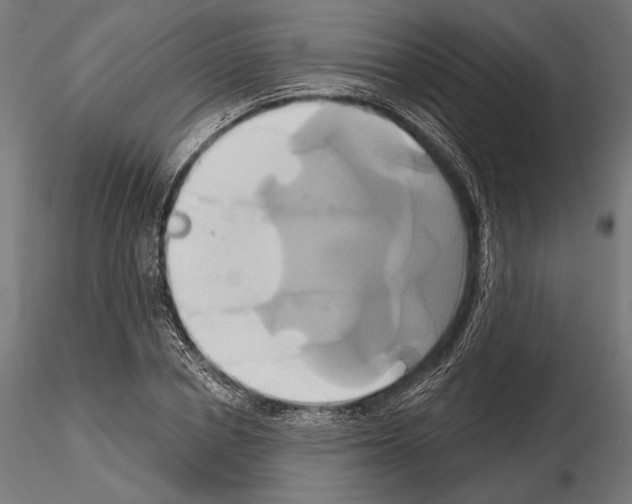 X0000115170834200912091021