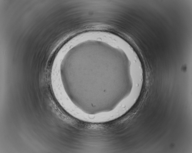 X0000115170835200912091021