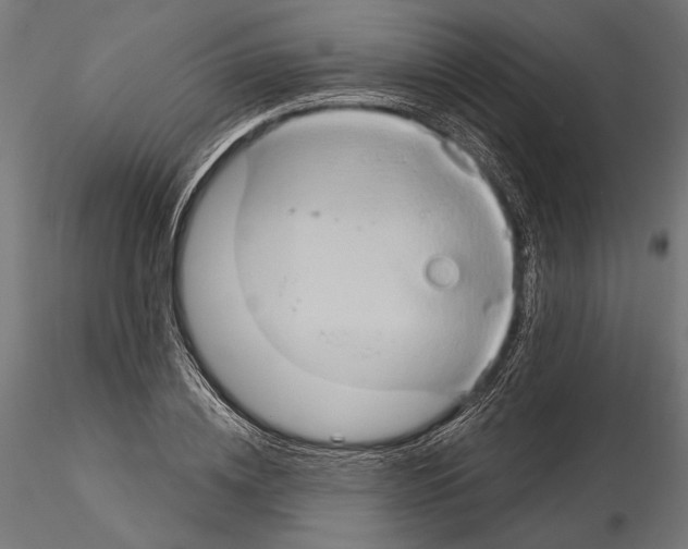 X0000115170836200912091021