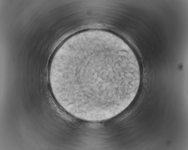 X0000115170837200912091021