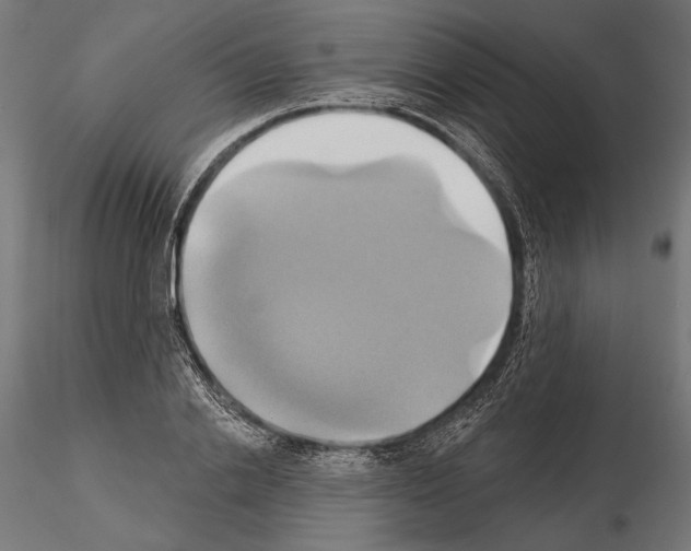 X0000115170838200912091021