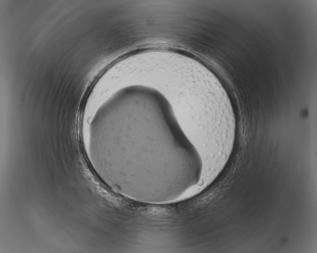 X0000115170839200912091021