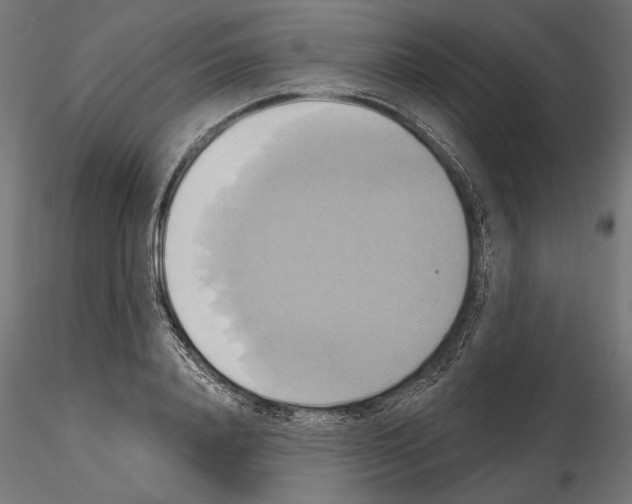 X0000115170840200912091021