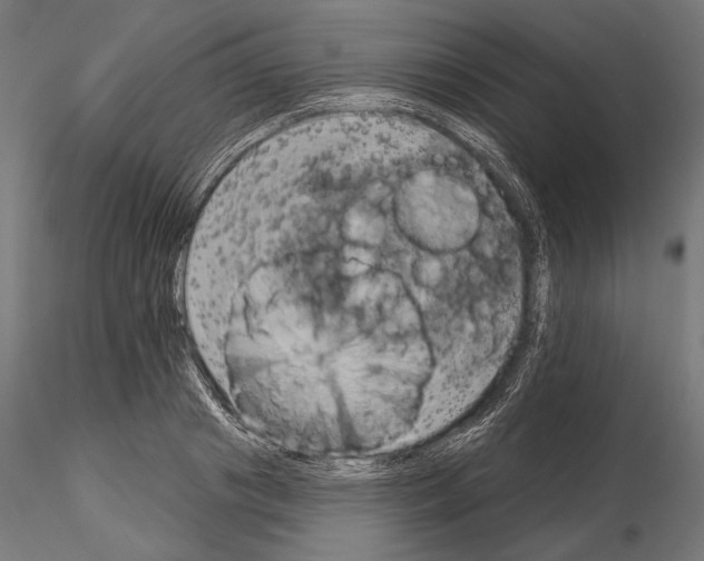 X0000115170841200912091021