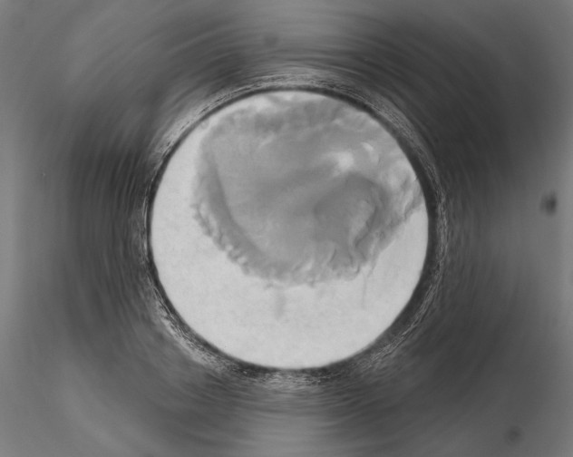 X0000115170842200912091021