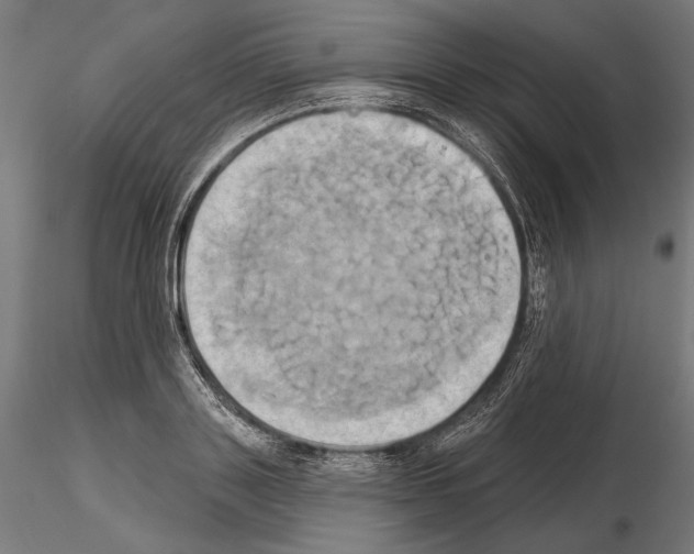 X0000115170843200912091021