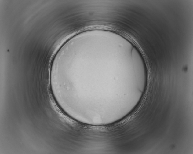 X0000115170844200912091021