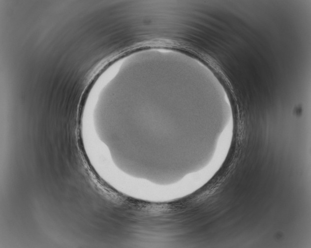 X0000115170845200912091021