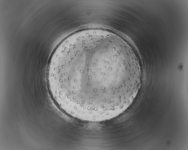 X0000115170847200912091022