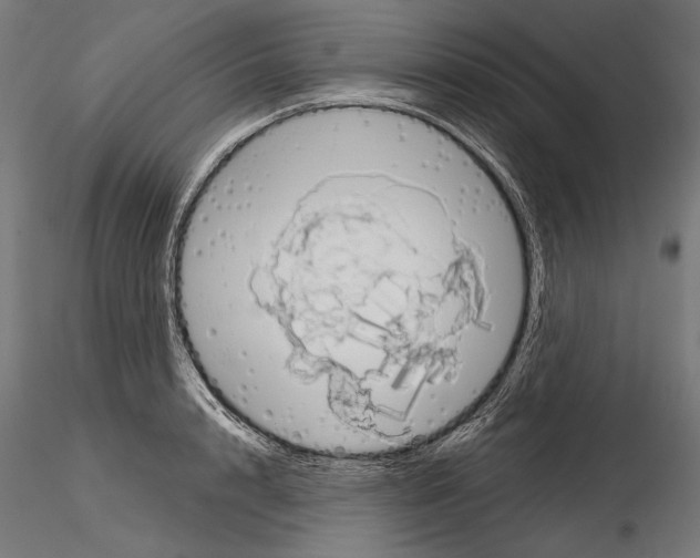 X0000115170848200912091022