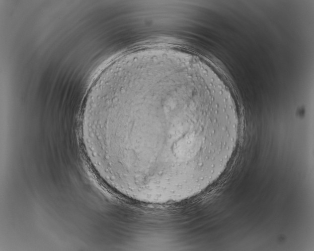 X0000115170850200912091022