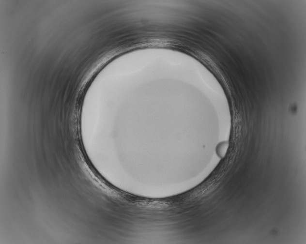 X0000115170851200912091022